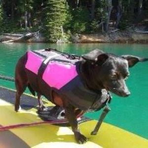 Meet your Posher, Natalie